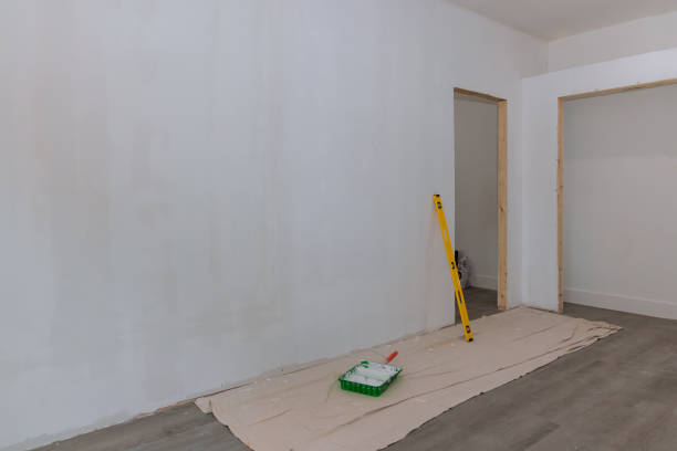 Best Mold Remediation for Healthcare Facilities  in Ceredo, WV