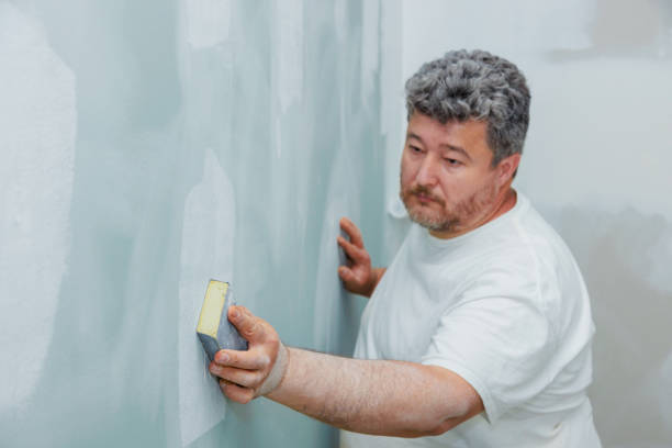 Best Mold Removal for HVAC Installations  in Ceredo, WV