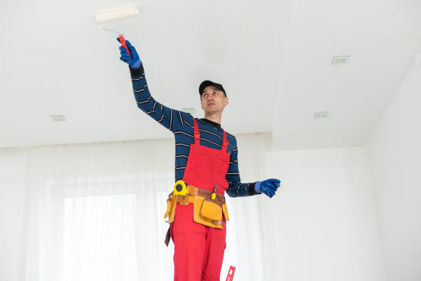 Best HVAC Mold Inspection and Cleaning  in Ceredo, WV