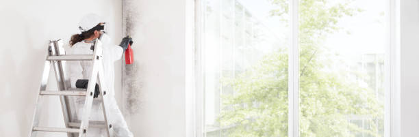 Best Dehumidification Services  in Ceredo, WV
