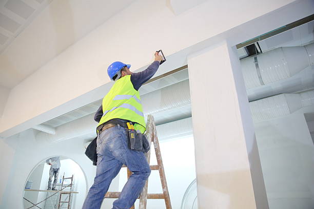 Best Residential Mold Inspection & Testing  in Ceredo, WV