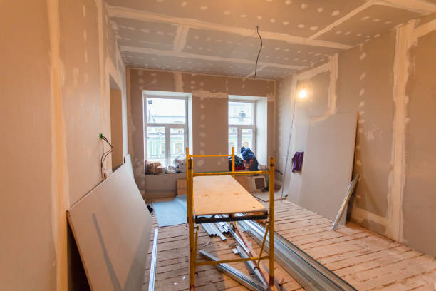 Best Basement Mold Removal  in Ceredo, WV