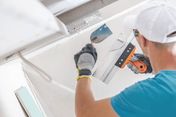 Best Mold Remediation for Healthcare Facilities  in Ceredo, WV